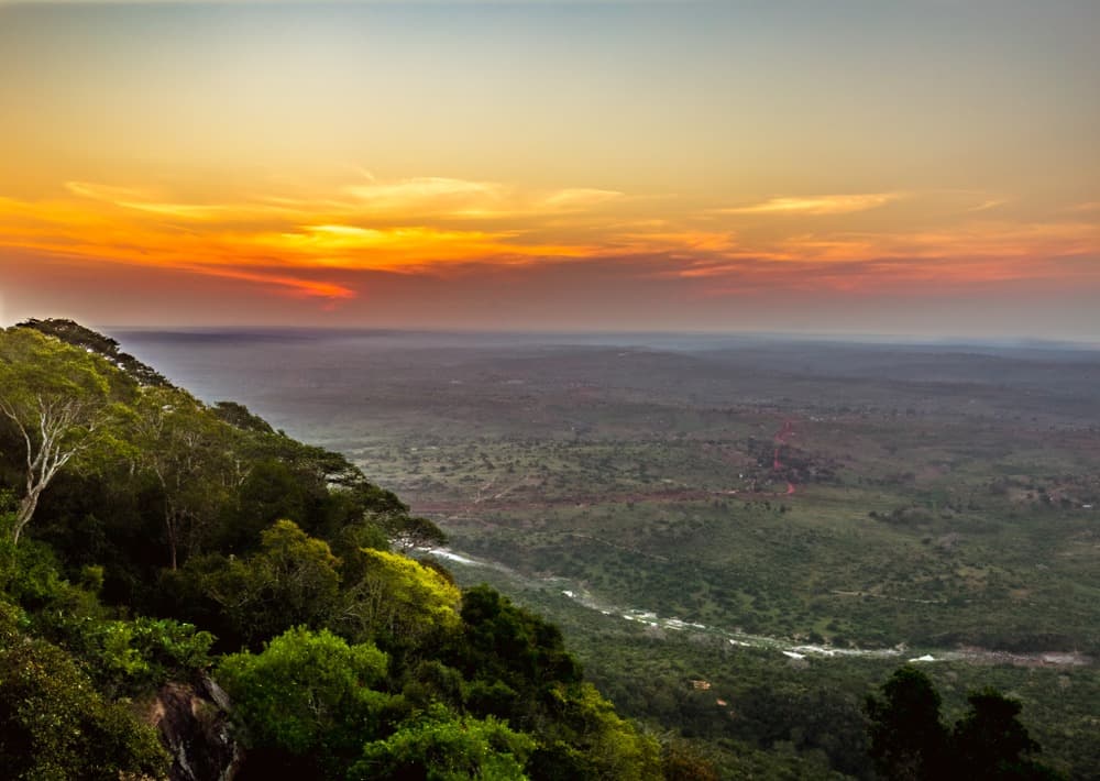Riserva nazionale di Shimba Hills